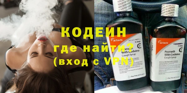 прущие грибы Сатка