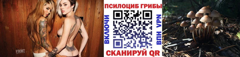 Галлюциногенные грибы MAGIC MUSHROOMS  Кушва 